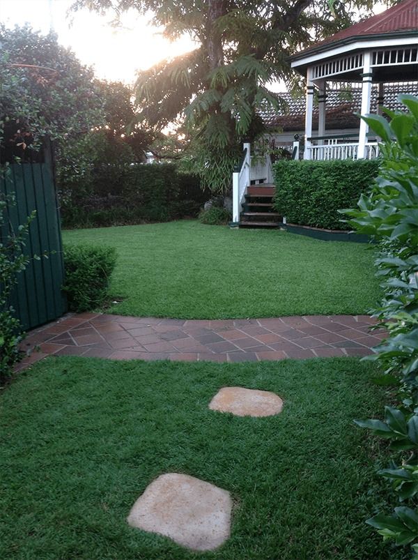 Brisbane backyard garden